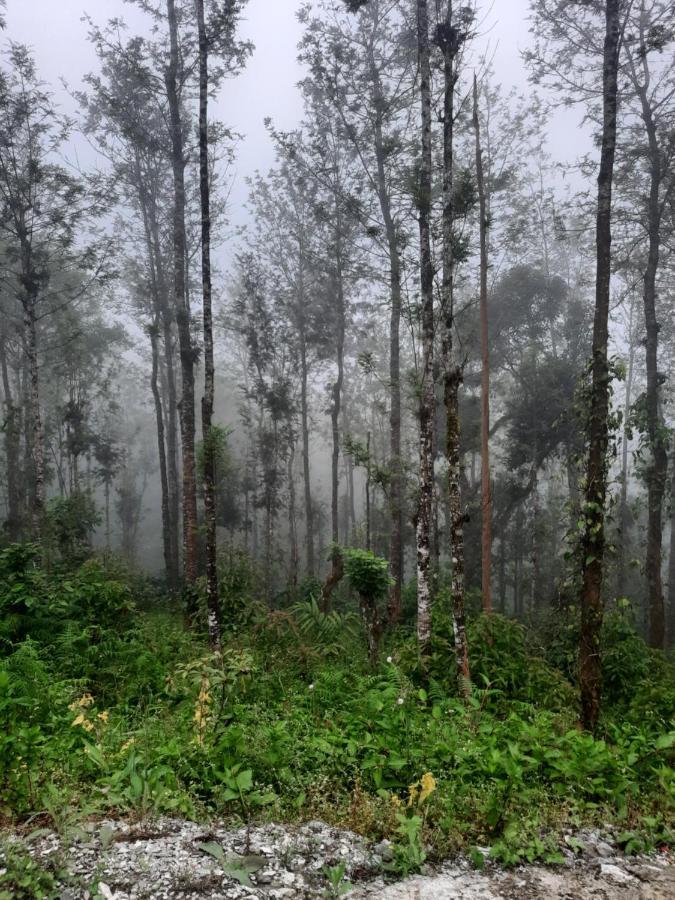 ماديكيري Coorg Happy Estate Stay المظهر الخارجي الصورة